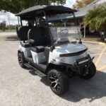 2025 Denago EV Rover XL for Sale