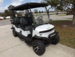2026 White Denago EV Rover XL 6