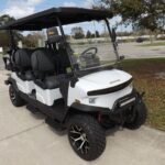 2026 White Denago EV Rover XL 6