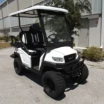 2022 Bintelli Pulse 4S Lifted LSV For Sale